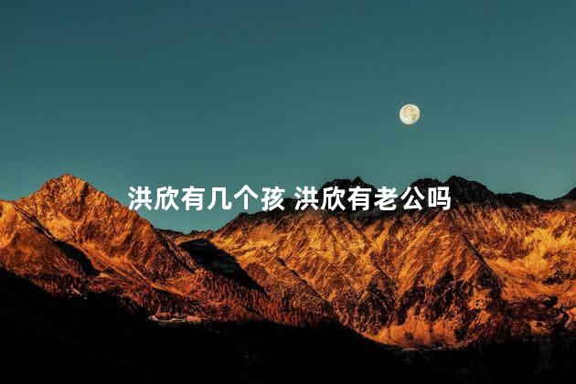 洪欣有几个孩 洪欣有老公吗